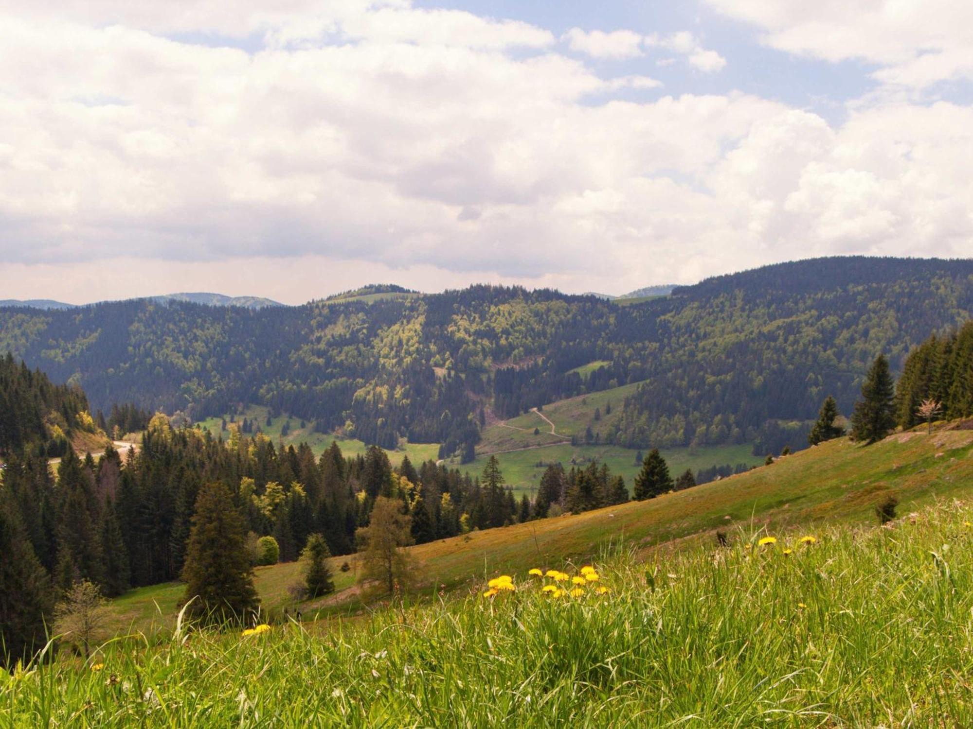 Relaxapartments Black Forest Moments - Maisonette-Wohnung Mit Sonnenbalkon, Schnelles Internet, Naehe Triberger Wasserfaelle, Fuer Bis Zu 4 Personen Schönwalde Exteriér fotografie